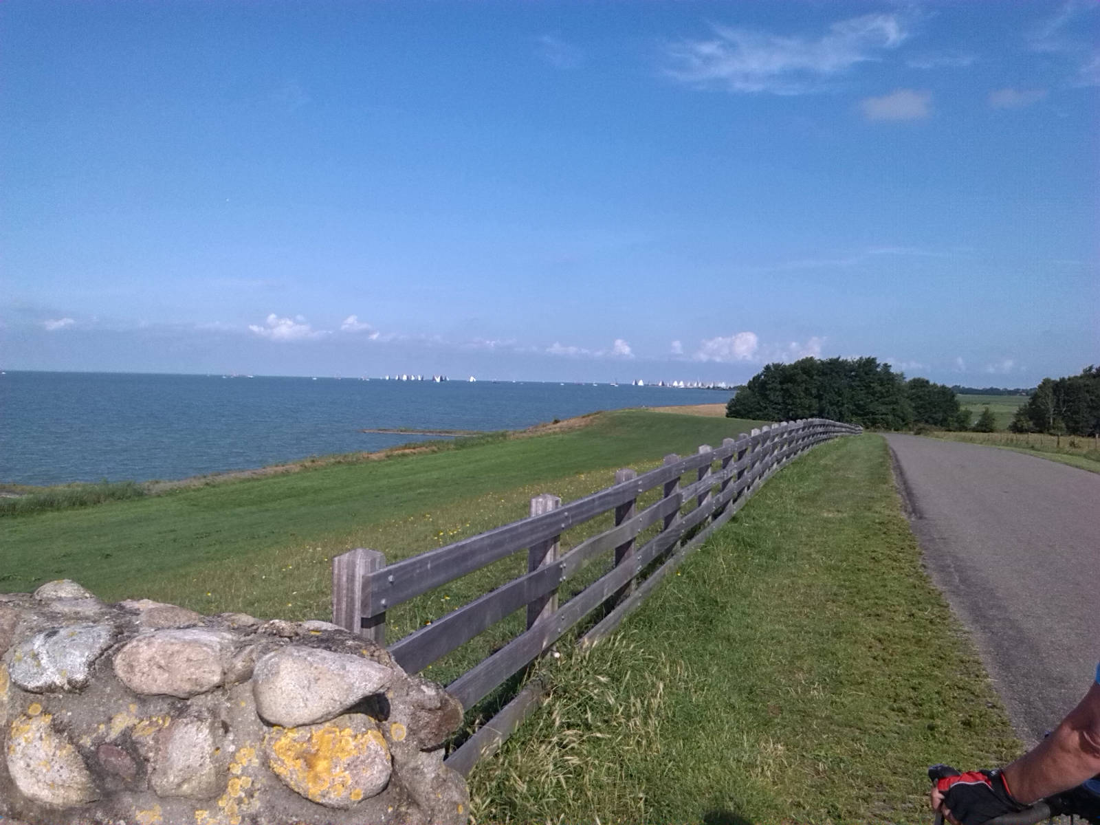 IMG 20140804 100823